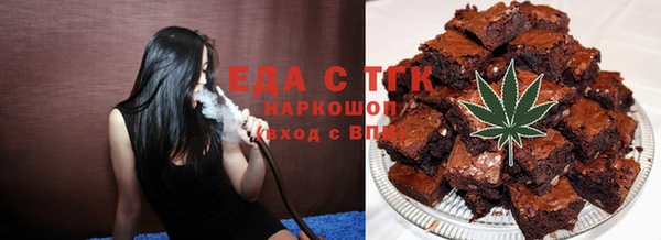 гидра Мегион