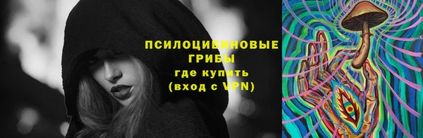 прущая мука Билибино