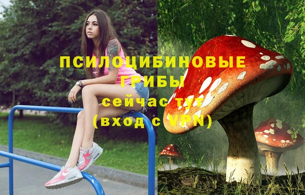 сатива Медногорск