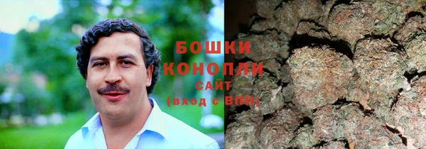 гидра Мегион